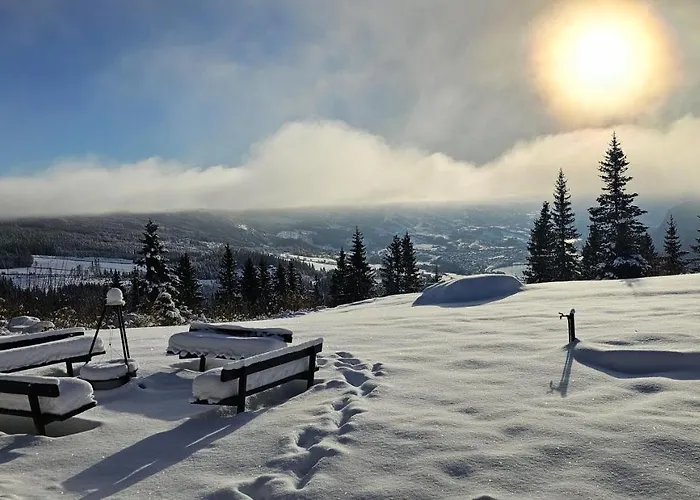 Fjellstugu 3*